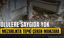 Şarkikaraağaç Kale Mezarlığı'nda Vatandaşı Çileden Çıkaran Görüntü: Güvenlik Çağrısı!
