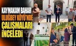 Senirkent Kaymakamı Bahar Uluğbey Köyü'nde İncelemelerde Bulundu