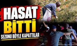 Sütçüler'de Kekik Hasadı Bitti: Yaylada 'Kekiğe Veda Partisi'
