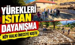 Sütçüler'de Örnek Dayanışma: Havva Köse İçin Ev Yapılıyor