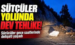 Sütçüler-Gebiz Yolunda Korkutan Olay: Dev Kaya Yola Düştü