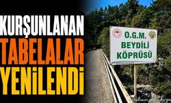Sütçüler'de kurşun delikleriyle gündeme gelen tabelalar değişti mi? İşte o çalışma