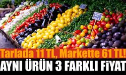 Tarlada 11 TL, Markette 61 TL! Aynı Ürün, 3 Farklı Fiyat