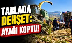 Isparta'da Feci Kaza: Ayağını Silaj Makinesine Kaptırdı