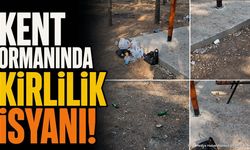 Yalvaç Kent Ormanı'nda Tepki Çeken Görüntüler: Vatandaşlar Denetim İstiyor