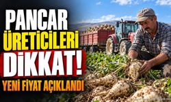 2026 Yılı Şeker Pancarı Alım Fiyatı Açıklandı