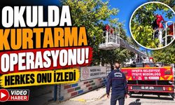 Ağaçta mahsur kaldı, yardımına itfaiye koştu!