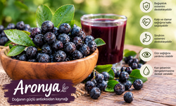 Aronya nedir, faydaları nelerdir? Süper meyvenin tüketiminde nelere dikkat edilmeli?
