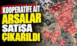 Bağkonak’ta Kooperatife Ait Arsalar Satışa Çıkarıldı