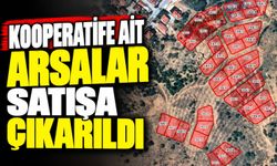 Bağkonak’ta Kooperatife Ait Arsalar Satışa Çıkarıldı