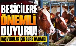 Besicilere Önemli Duyuru: Başvurular İçin Süre Daraldı