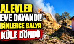 Besihanede Yangın: Binlerce Balya Küle Döndü