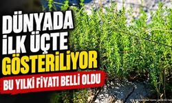 Dünyada İlk Üçte Gösteriliyor: Bu Yılki Fiyatı Belli Oldu