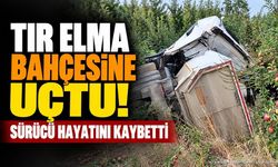 Eğirdir'de TIR Elma Bahçesine Devrildi: Sürücü Hayatını Kaybetti