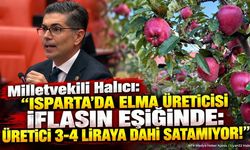 Elma Üreticileri Krizde: Destek Çağrısı