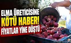 Elma üreticisine kötü haber: Fiyatlar yine düştü!