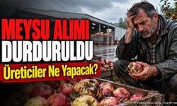 Gelendost'ta Elma Meyusu Alımı Durduruldu: Nedenleri ve Etkileri