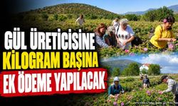 Gül Üreticisine Kilogram Başına Ek Ödeme Yapılacak