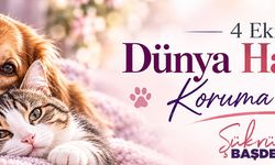HAYVANLARIMIZI KORUYALIM