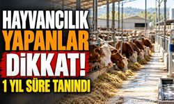 Hayvancılık yapanlar dikkat! 1 yıl süre tanındı