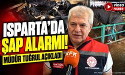 Isparta Canlı Hayvan Pazarı Kapatıldı: Müdür Tuğrul'dan Açıklama