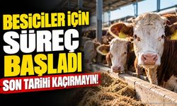 Isparta'da 2027 Besilik Sığır İthalatı Başvuruları Başladı