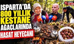 Isparta’da 800 Yıllık Kestane Ağaçlarında Hasat Heyecanı