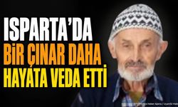 Isparta'da Bir Çınar Daha Hayata Veda Etti