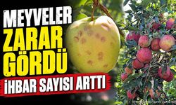 Isparta'da Meyveler Zarar Gördü İhbar Sayısı Arttı
