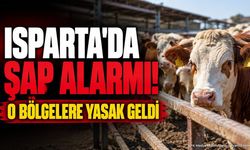 Isparta'da Şap Alarmı: O Bölgelerde Kısıtlama Başladı