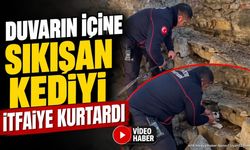 Isparta'da Taş Duvara Sıkışan Kedi İtfaiye Tarafından Kurtarıldı