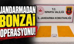 Isparta'da Uy*şturucu Operasyonu: 13 Bin Kullanımlık Bonzai Ele Geçirildi