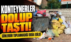 Köyde Çöp Tepkisi: Günlerdir Toplanmadığı İddia Edildi