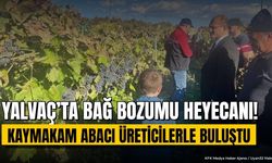 Kuyucak Köyü'nde Üzüm Hasadı Devam Ediyor