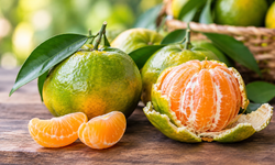 Yeşil mandalina neden turuncuya dönmüyor? Nedeni sandığınızdan farklı