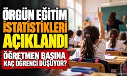 MEB Örgün Eğitim İstatistikleri Açıklandı: İşte Rakamlar