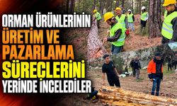 Orman Ürünlerinin Üretim Ve Pazarlama Süreçlerini Yerinde İncelediler