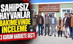 Isparta’da Sahipsiz Hayvanlar Bakımevine Denetim