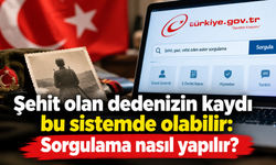 Şehit olan dedenizin kaydı bu sistemde olabilir: Sorgulama nasıl yapılır?