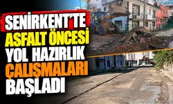 Senirkent'te Asfalt Mesaisi: Zemin Hazırlık Çalışmaları Başladı