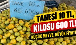 Tanesi 10 TL, Kilosu 600 TL! Sonbaharın Meyvesi Alıç Fiyatıyla Şaşırttı