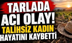 Tarlada Acı Olay! Talihsiz Kadın Hayatını Kaybetti