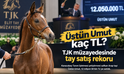 Üstün Umut kaç TL? TJK müzayedesinde tay satış rekoru