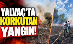 Isparta Yalvaç'ta Yangın: Ekipler Seferber Oldu