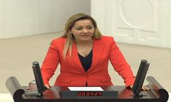 Aylin Cesur'un TBMM'de Önerge Desteği Konuşması