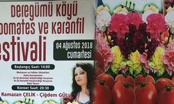 1.Deregümü Köyü Domates ve Karanfil Festivali