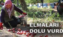 Senirken'i Dolu Vurdu Hasar Büyük