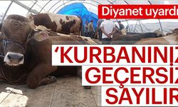 Dikkat! Kurbanınız Geçersiz Sayılır