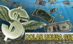 Dolar Uçuşa Geçti