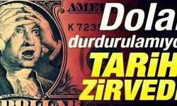 Dolardan Tarihi Zirve